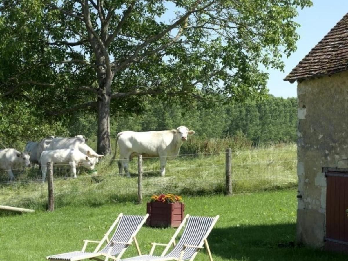 Gite Authentique Au Coeur Du Perche, 18Eme Siecle, Cheminee, Jardin Clos, Animaux Acceptes, Wifi Inclus. - Fr-1-497-49 Pervencheres Exterior photo